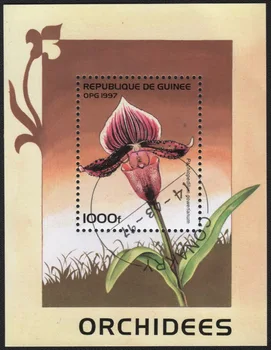 1Sheet Guinea Post Margid 1997. Aasta Orhidee Kasutada Postitada Märgitud Postikulu Souvenir Sheet Templite Kogumine